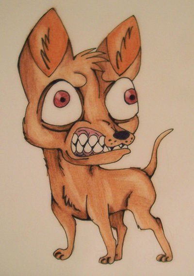 angry_chihuahua_by_nikydog142007 - Found on https://thepursuitofgodandhisgrace.wordpress.com/2011/01/29/aye-chihuahuas-in-the-house/
